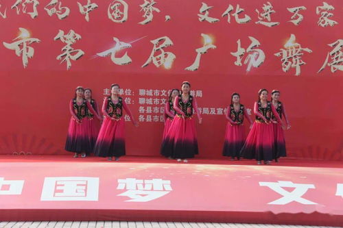 舞動(dòng)水城，綻放芳華——聊城市第七屆廣場舞展演活動(dòng)圓滿落幕